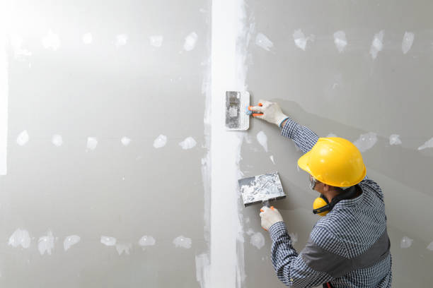 Best Forensic Mold Investigation  in Manitou Springs, CO