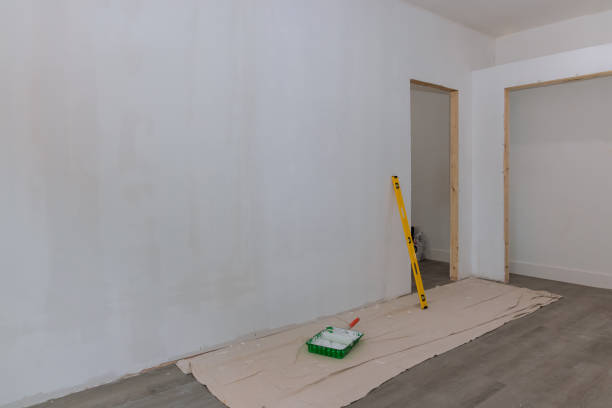  Manitou Springs, CO Mold Removal Pros