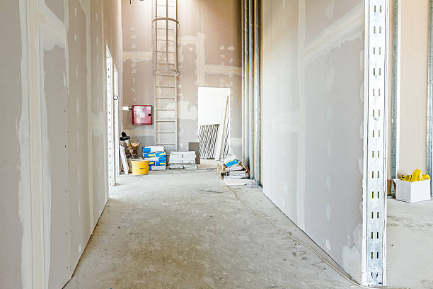 Best Mold Remediation for Healthcare Facilities  in Manitou Springs, CO